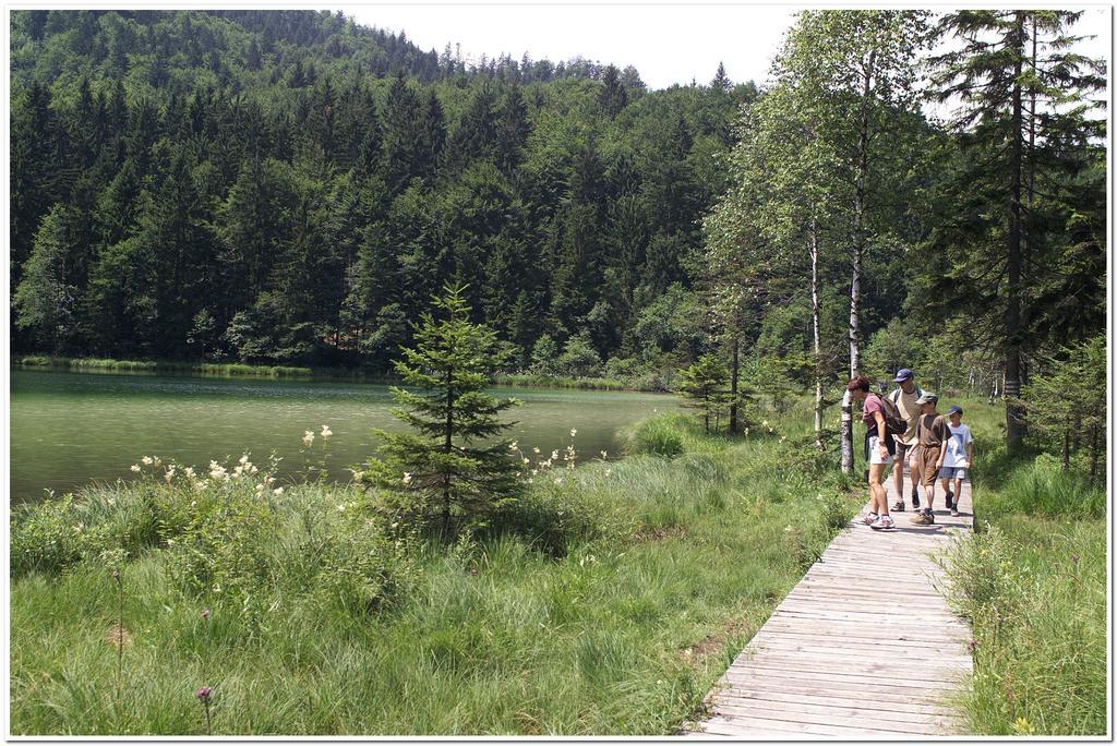 Aktivhotel & Gasthof Schmelz Ihr Urlaubs Hotel In Inzell Mit Wellness Hallenbad, Alpensauna & Dampfbad Zewnętrze zdjęcie